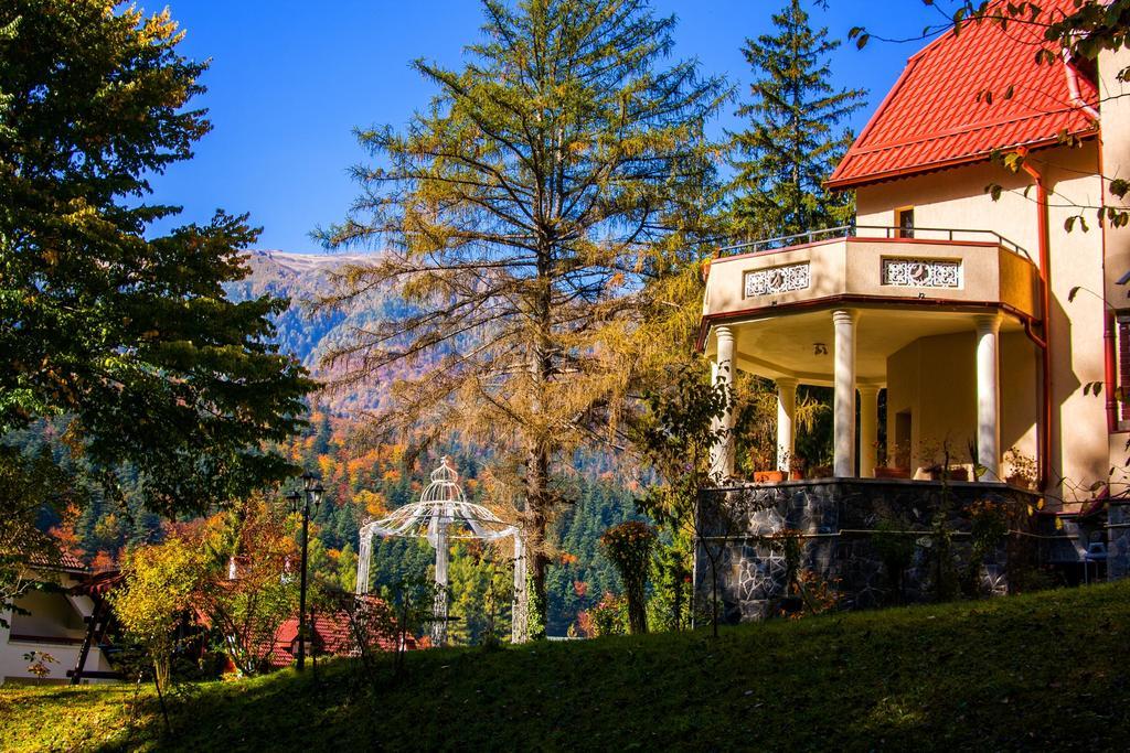 Pensiunea Boema Sinaia Exterior photo